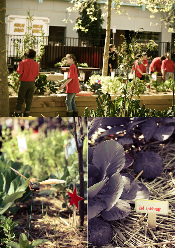 Stephanie Alexander Kitchen Garden Week