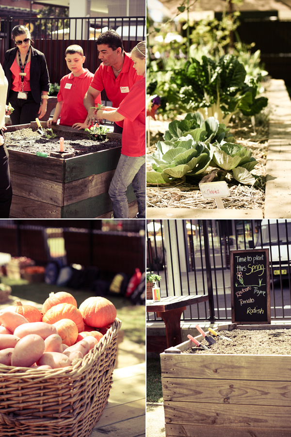 The Community Kitchen Garden At Rouse Hill Town Centre