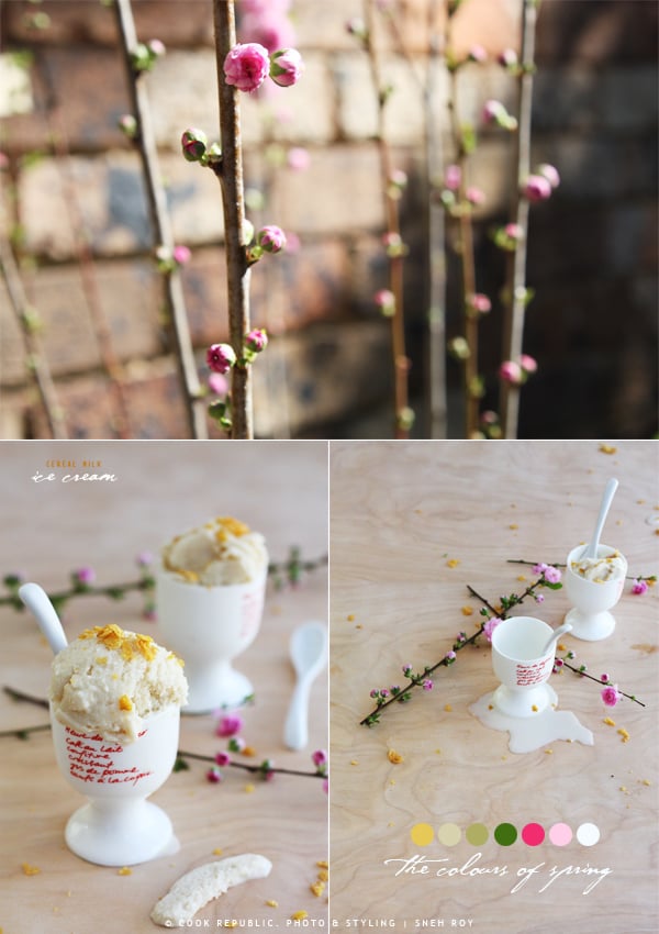 Cherry Blossoms. Spring. Cereal Milk Ice Cream.