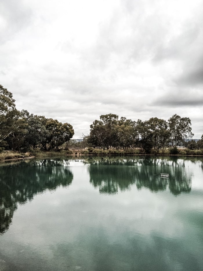 Maggie Beer's Pheasant Farm