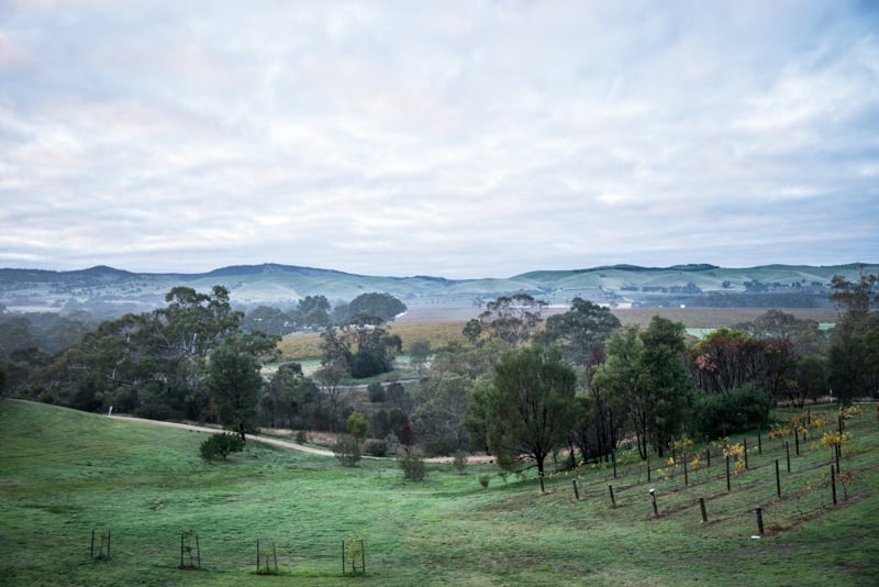 Novotel, Barossa Valley