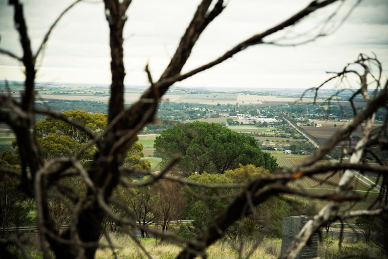 Highest Lookout Point in Barossa Valley