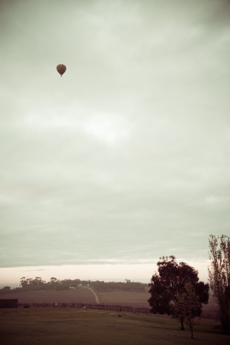 View From My Room - The Louise, Barossa Valley