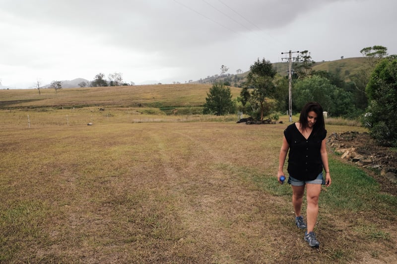 Barrington Tops, Australia - Cook Republic