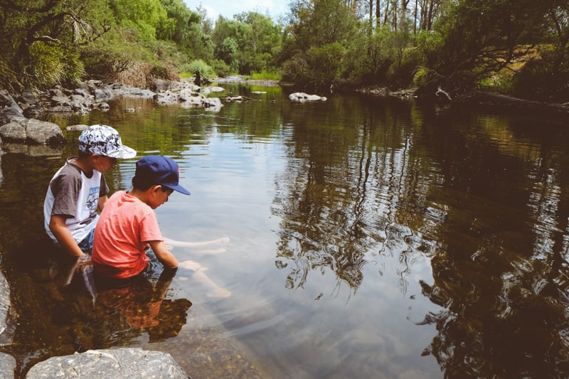 Barrington Tops - Cook Republic