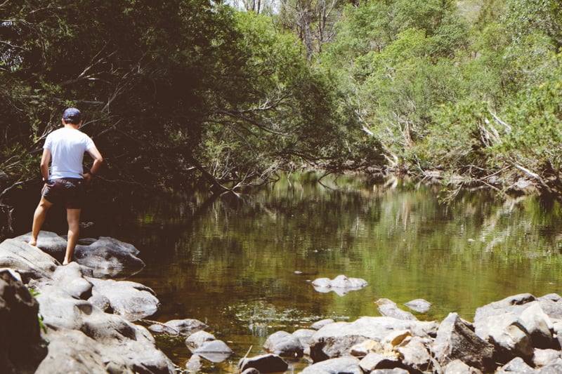 Barrington Tops - Cook Republic