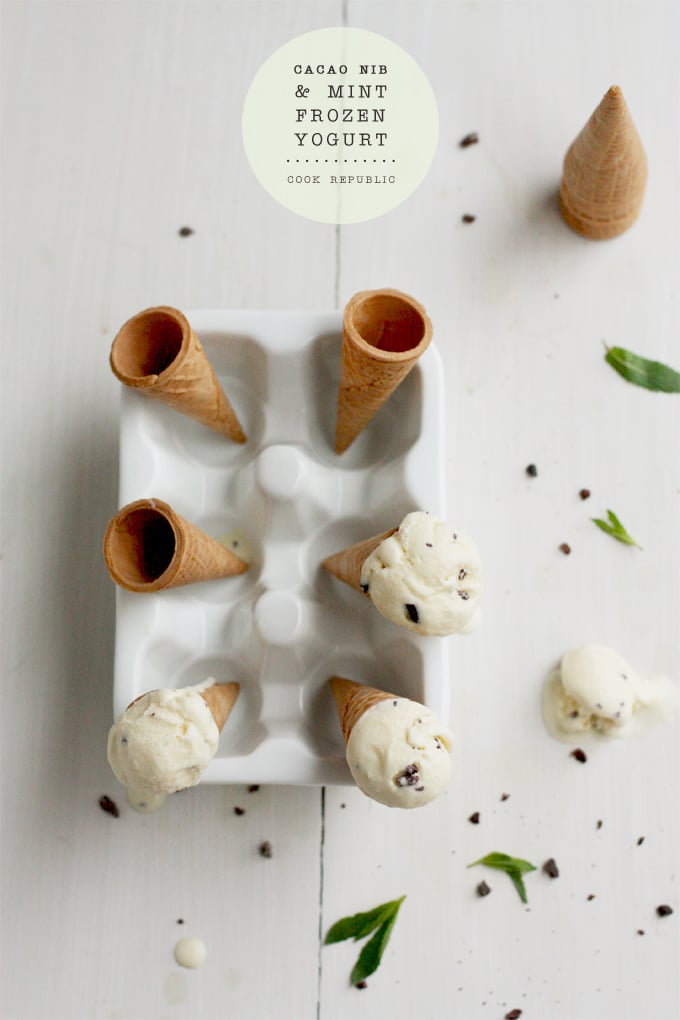 Cacao Nib And Mint Frozen Yogurt - Cook Republic