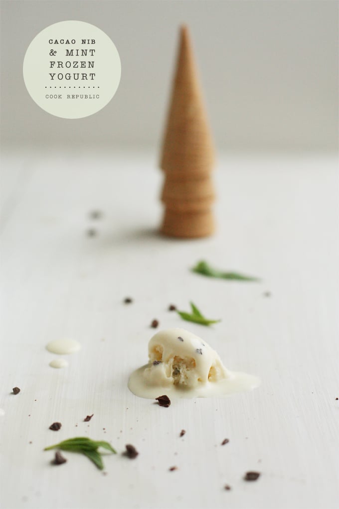 Cacao Nib And Mint Frozen Yogurt - Cook Republic