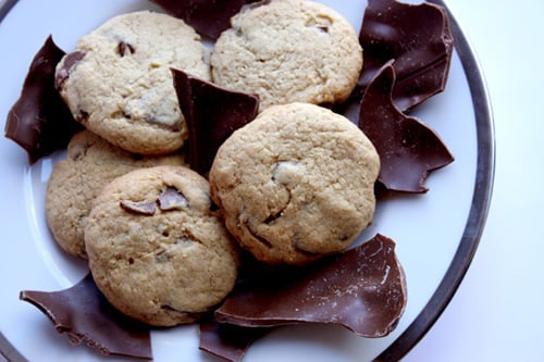 Chocolate Chunk Coconut Cookie