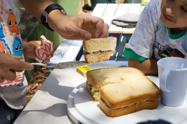 The Giant Sandwich Cake