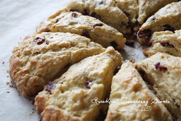 Cranberry Scones