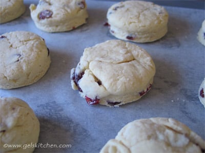 Cranberry Scones