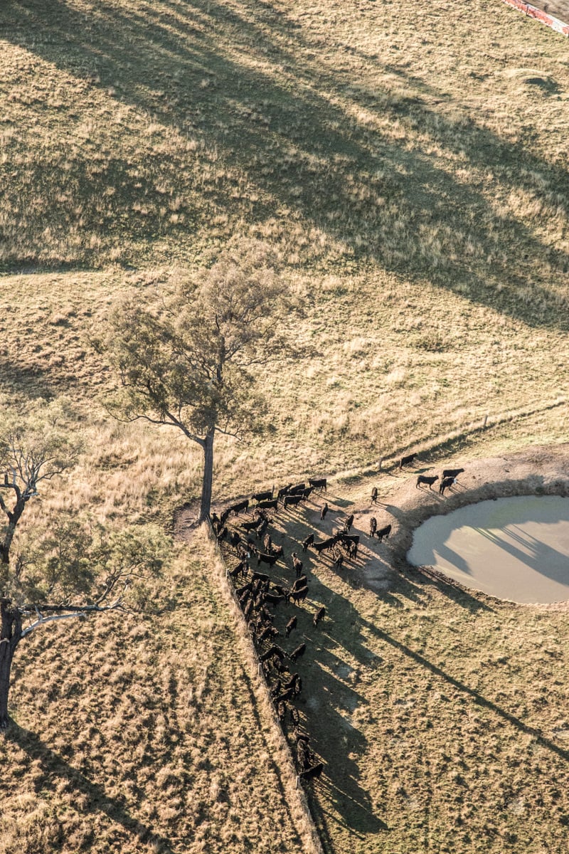 Hot Air Ballooning - CooK Republic