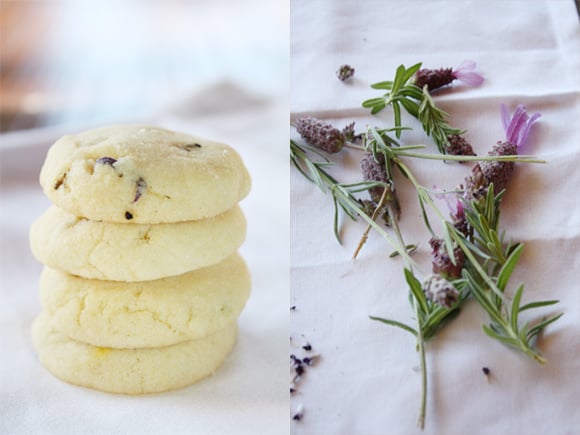 Lavender biscuits cooling | Lavender tsalks all plucked out.