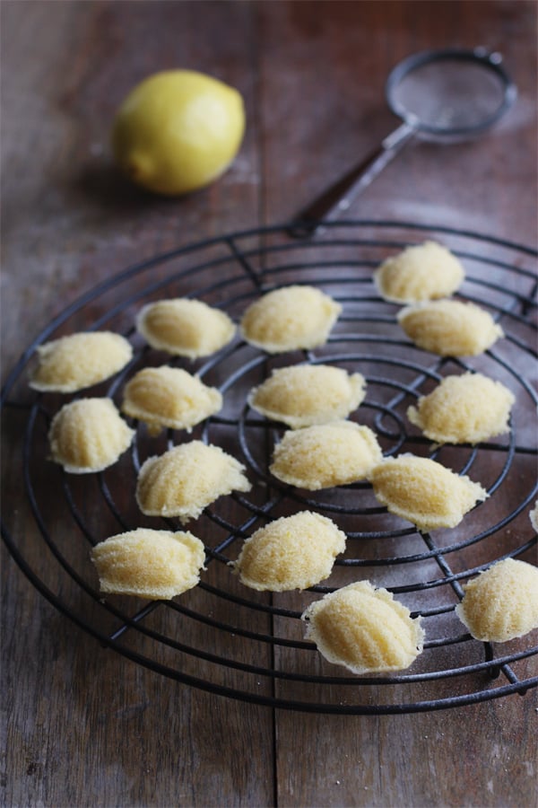 Baby Lemon Madeleines