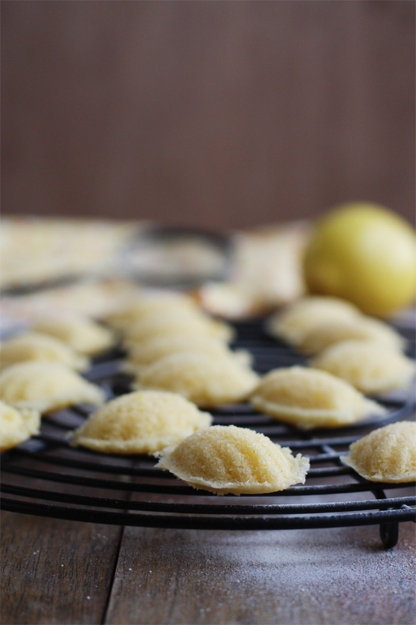 Baby Lemon Madeleines