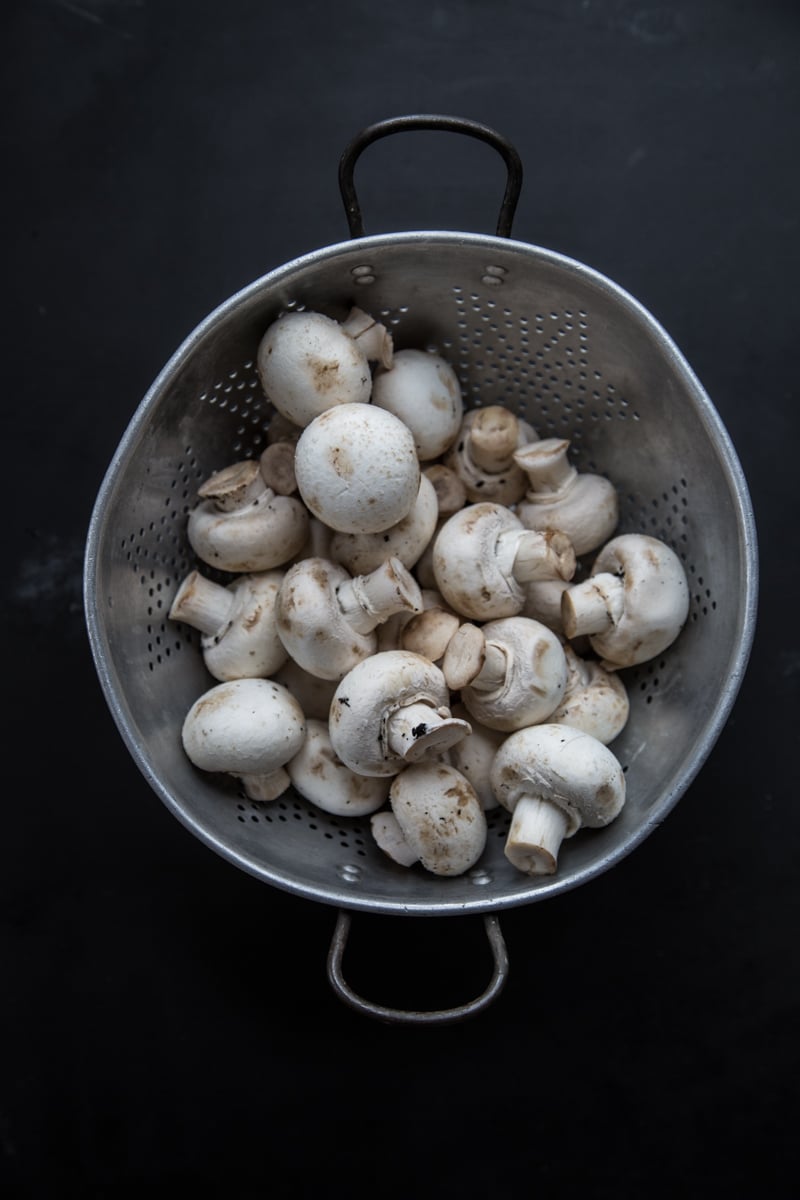 Mushrooms - Photo, Sneh Roy