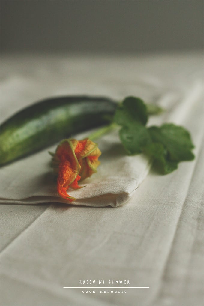 Zucchini Flower - Cook Republic