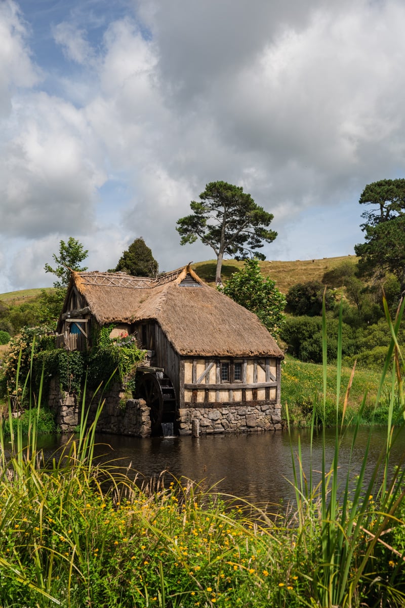 New Zealand Trip - Photo, Sneh Roy