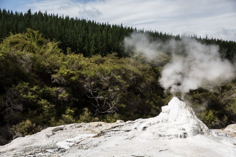 New Zealand Travel Stories - Photo, Sneh Roy