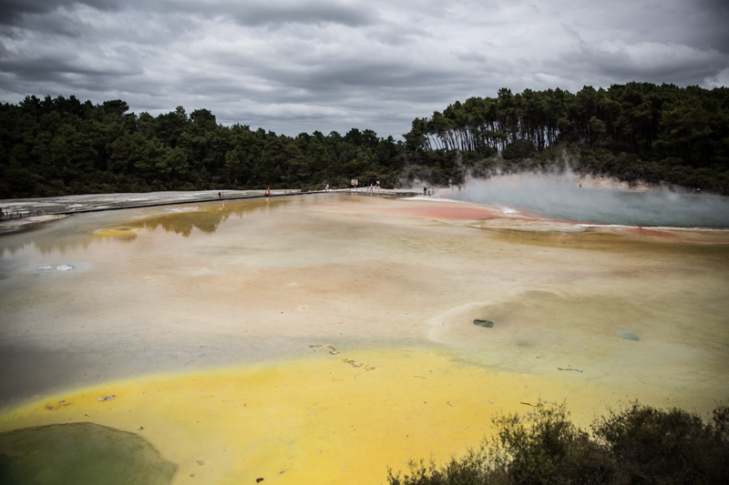 New Zealand Travel Stories - Photo, Sneh Roy