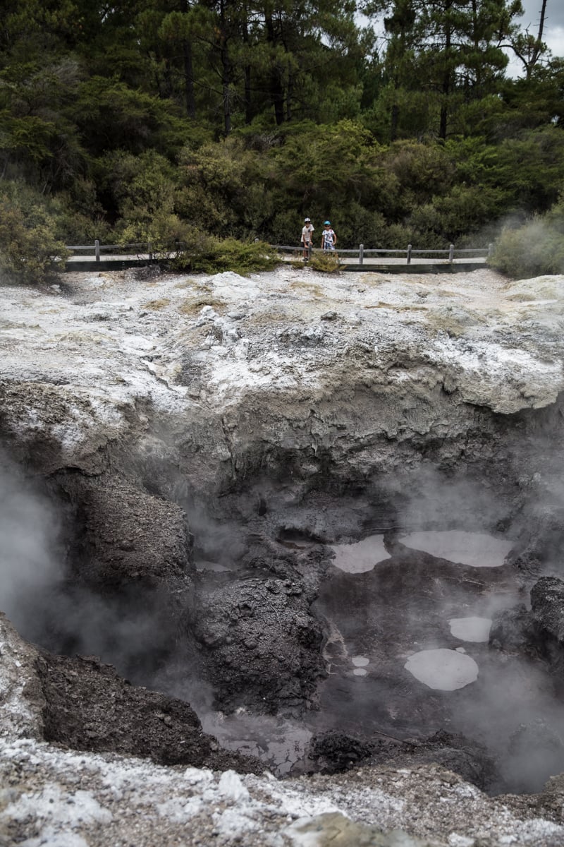 New Zealand Travel Stories - Photo, Sneh Roy