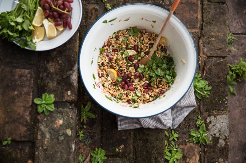 Puffed Brown Rice And Grape Salad - Cook Republic