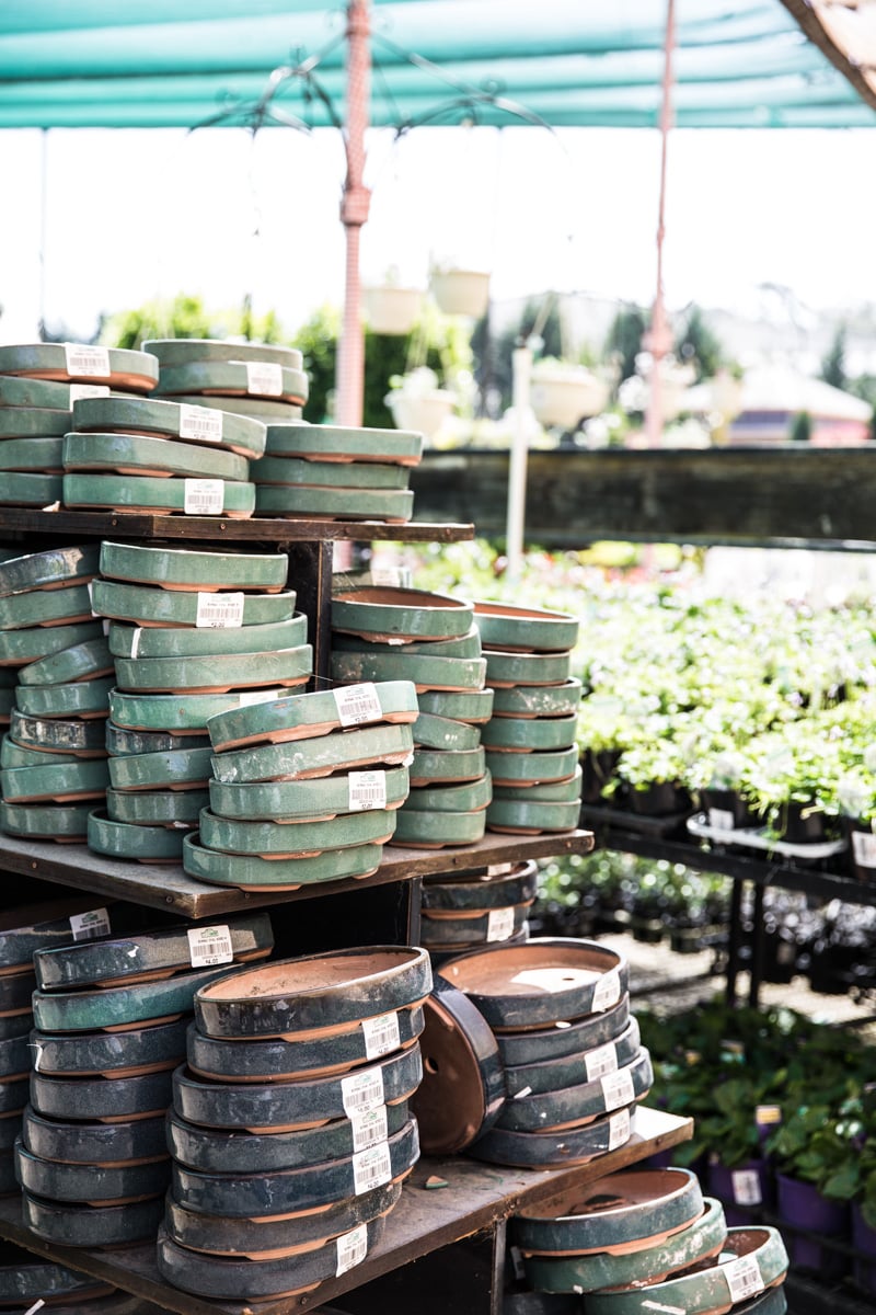 Ceramic Saucers & Planters - Cook Republic