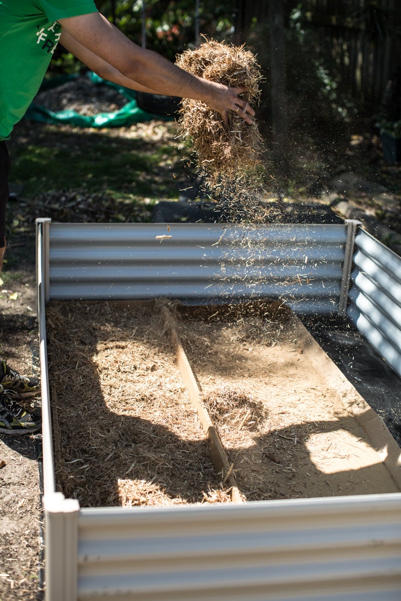 Planting A Spring Veggie Patch - Cook Republic