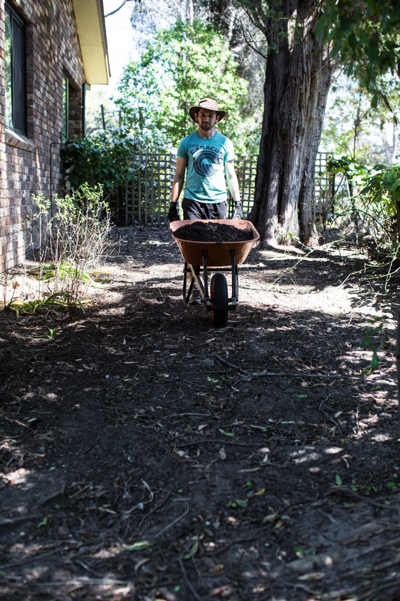 Urban Gardening - Sneh Roy, photo