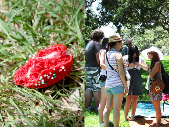 A lone macaron and some mingling.