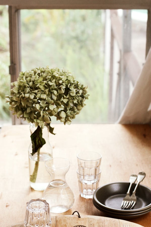 Hydrangea By Window Light