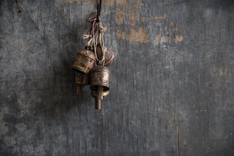 Cow Bells - Sneh Roy, photo