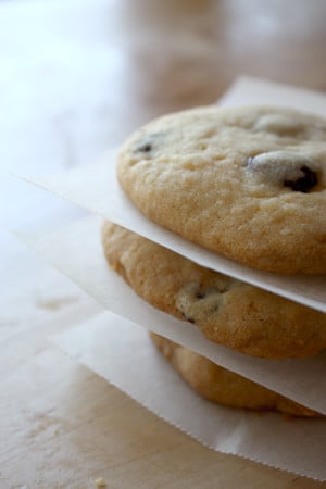 Craisin And Coconut Biscuits