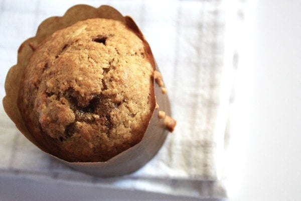 Hummingbird Muffin