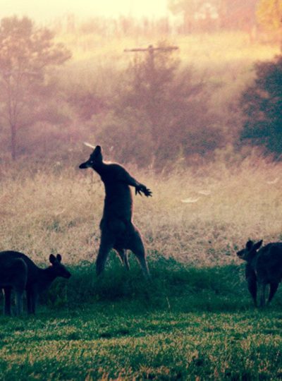 Cook Republic Files - Favourites List April 2012