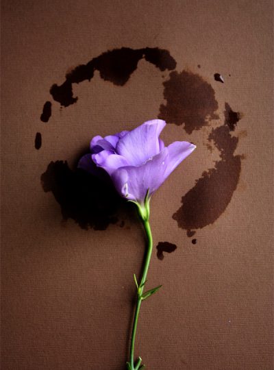 2011 In Pictures And The Impact Food Photography Award