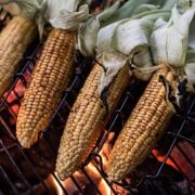 Grilled Corn And Barbecue Spice Rubs