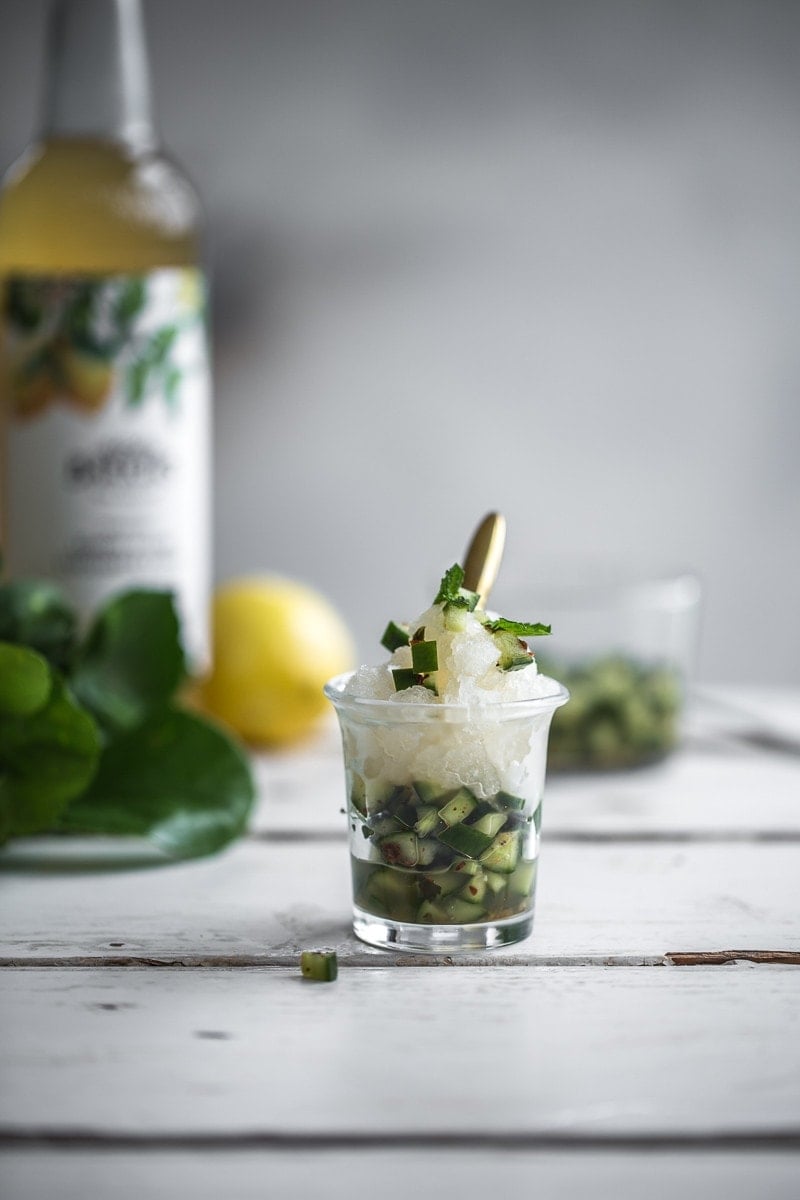 Lemon Lime Granita With Cucumber Mint Salsa - Cook Republic