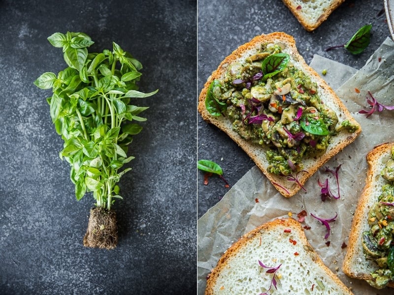 Vegan Mushroom Pesto Sandwich - Cook Republic #vegan #glutenfree #healthyrecipe