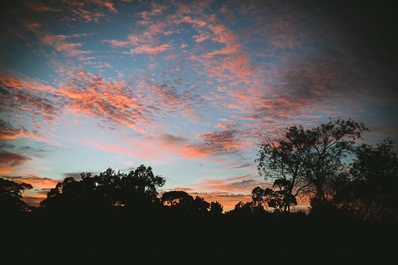 Autumn Mornings In Sydney - photo, Sneh Roy. Coffee With Cook Republic.