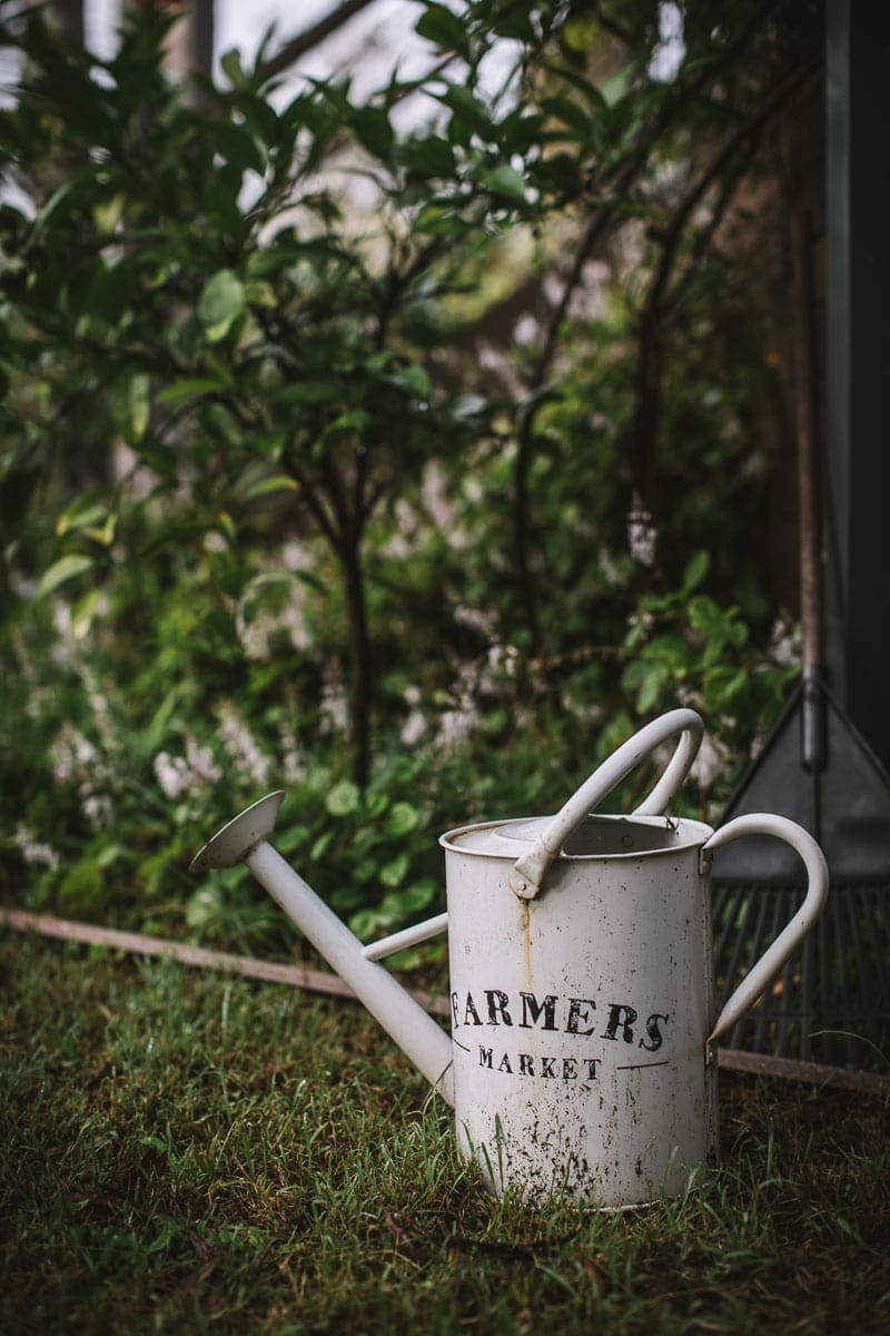 Rustic Autumn Garden - Cook Republic / photo, Sneh Roy