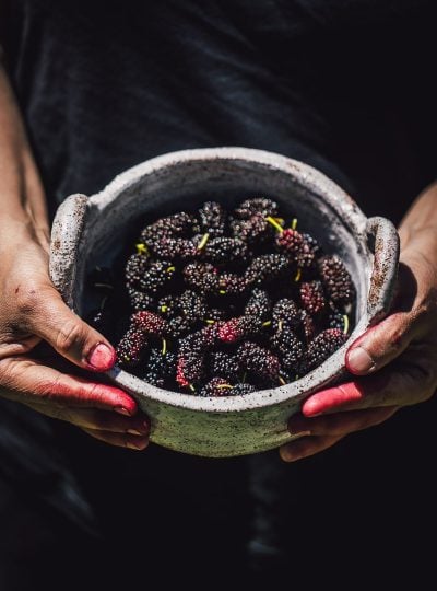 Mulberry Crumble Cake