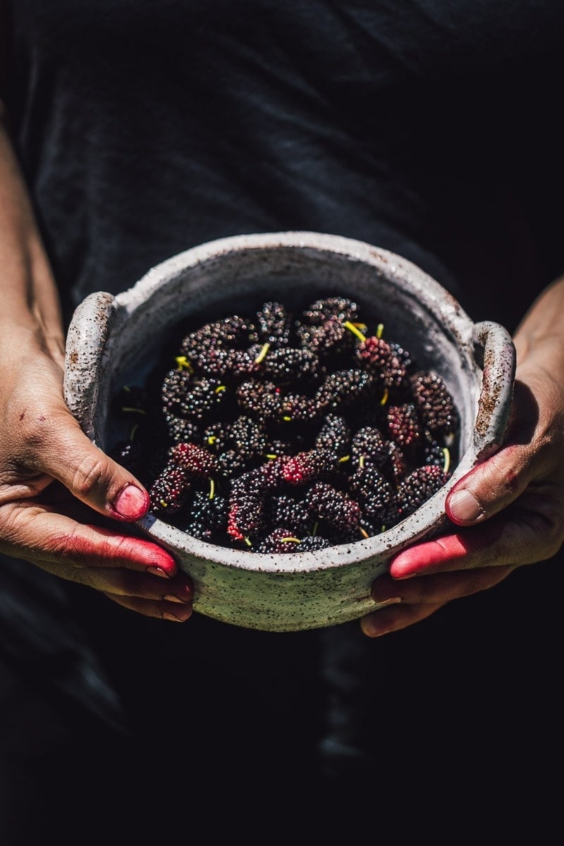 Fresh Mulberries - Cook Republic