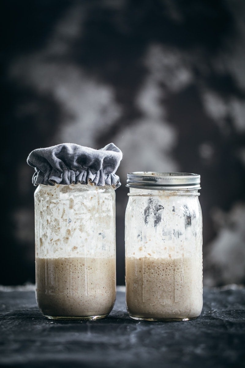 How To Make A Sourdough Starter At Home - Tips, Tricks And