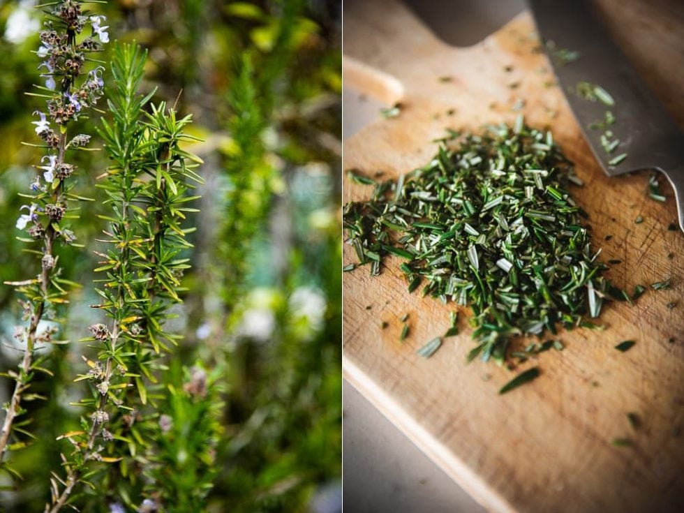 Rosemary Anzac Biscuits Cook Republic