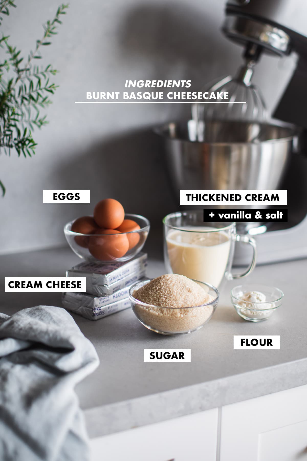 Ingredients for a Burnt Basque Cheesecake on a kitchen counter