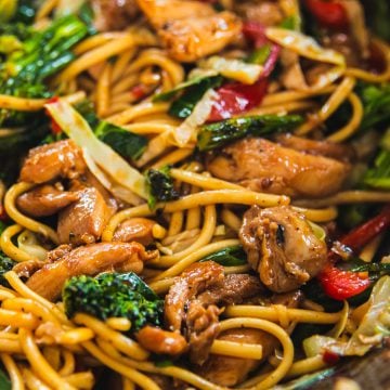 Close up of Chicken Udon Noodles.