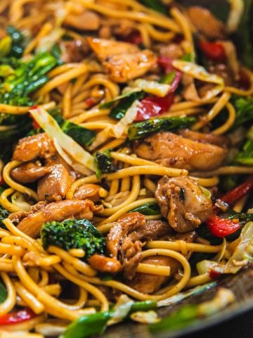 Close up of Chicken Udon Noodles.