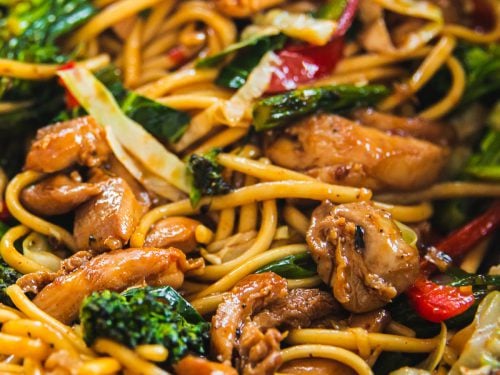 Close up of Chicken Udon Noodles.